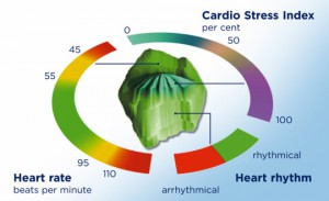 szív-stressz mérés